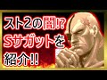 【格ゲーキャラ紹介】スパ２ＸのＳサガットを解説【スーパーストリートファイターⅡX】