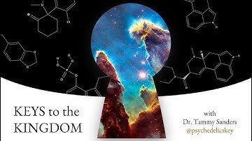 Curtis Chappell: Blockchain + Psychedelics at Scale