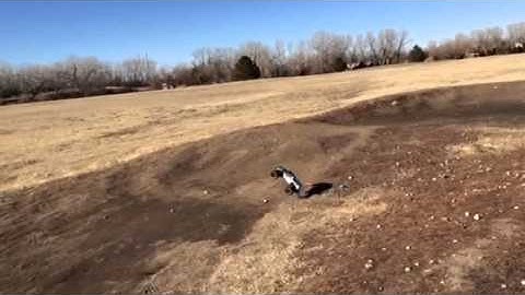 Ecx RUCKUS brushless jump in slow motion