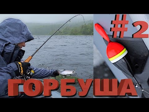 Видео: ГОРБУША на Кольском! Часть 2. Блесна или поплавок?!