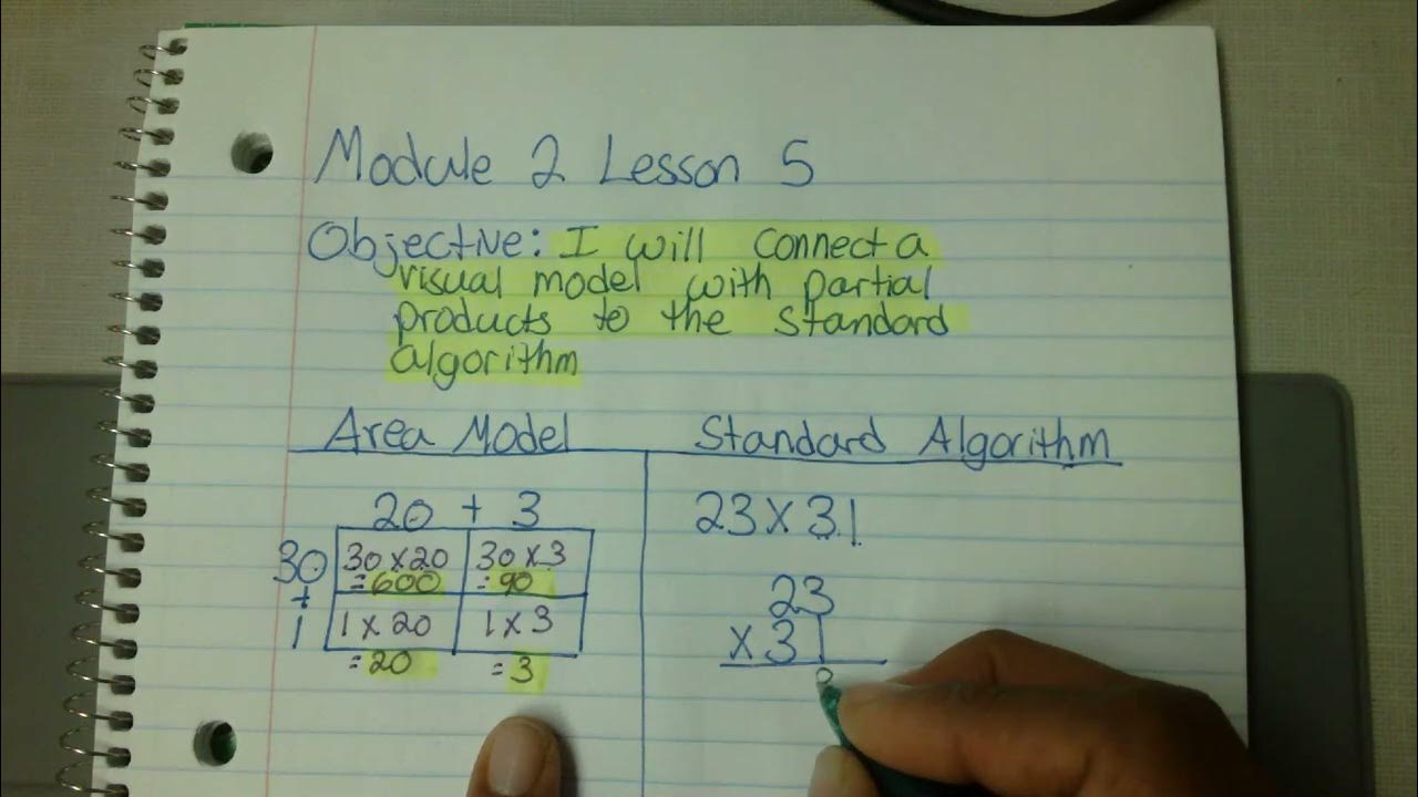 Module 2 Lesson 5: Area Model with Standard Algorithm - YouTube