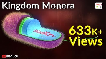 Kingdom Monera | Whittaker