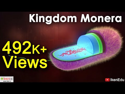 Kingdom Monera | Whittaker&rsquo;s Five Kingdom Classification System | iKen | iKen Edu | iKen App