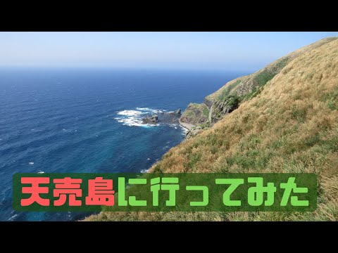 天売島2022前編　テントが消えた？