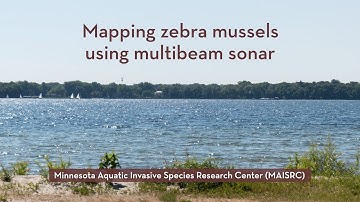 MAISRC | Mapping zebra mussels using multibeam sonar