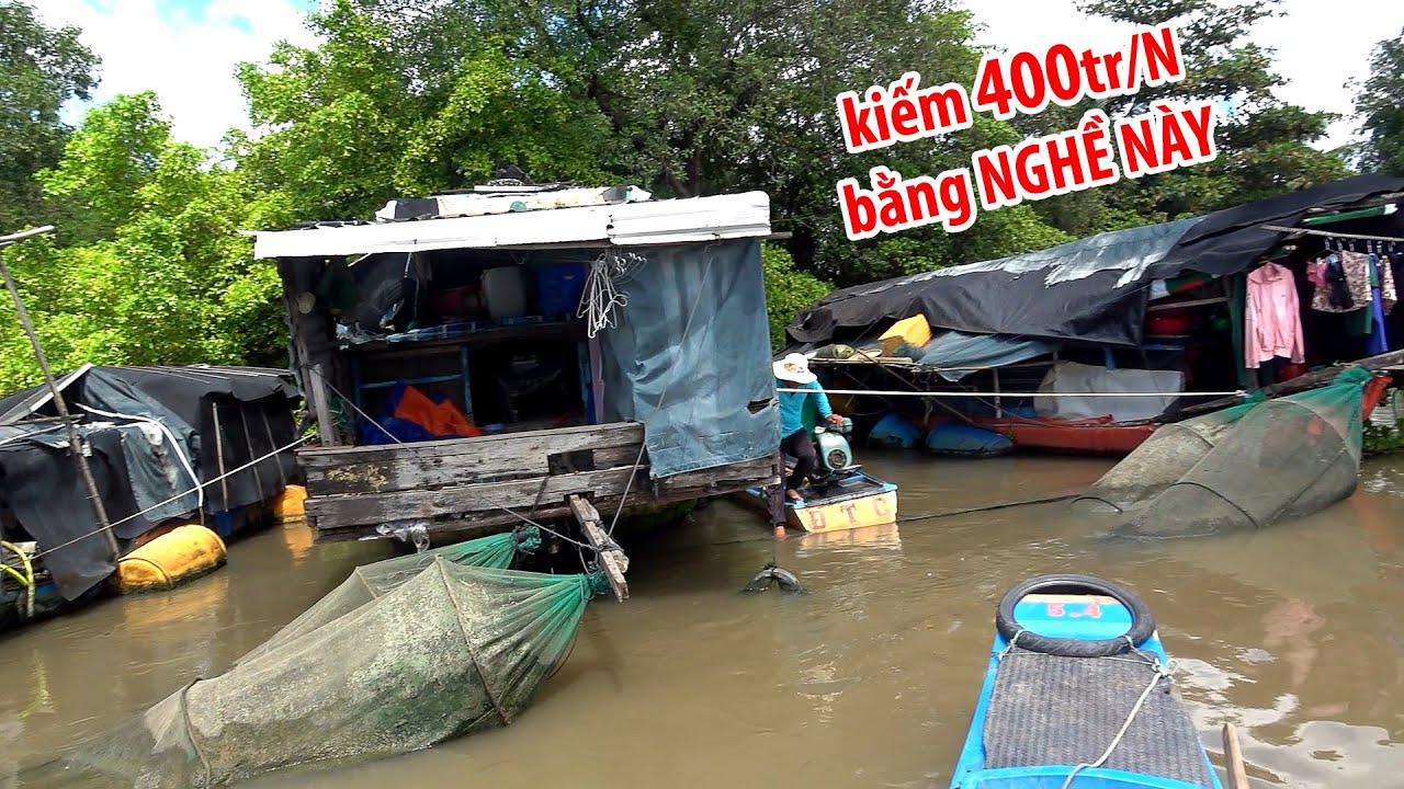 Tôi Kiếm Gần 400 Triệu Trong 1 Năm Từ Nghề Này – Bạn Cũng Làm Được!