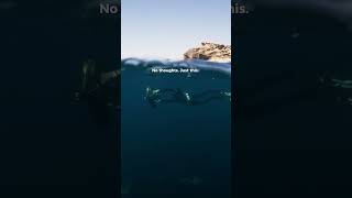 No thoughts. Just this. π #Sublue #OceanLife #BlueMind #relaxing #POV #OceanVibes #Nature #Healing
No thoughts. Just this. π
#Sublue #OceanLife #BlueMind #Relaxing
#POV #OceanVibes #Nature #Healing No thoughts. Just this. π #Sublue #OceanLife #BlueMind #relaxing #POV #OceanVibes #Nature #Healing