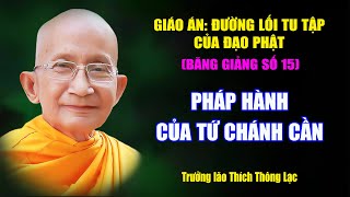 Khám phá con đường giác ngộ NGAY BÂY GIỜ