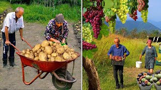 Sweet Grandma's The Best Recipes for 2 Hours | Delicious Life in Mountain Village