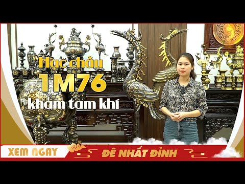 Video Hạc đồng