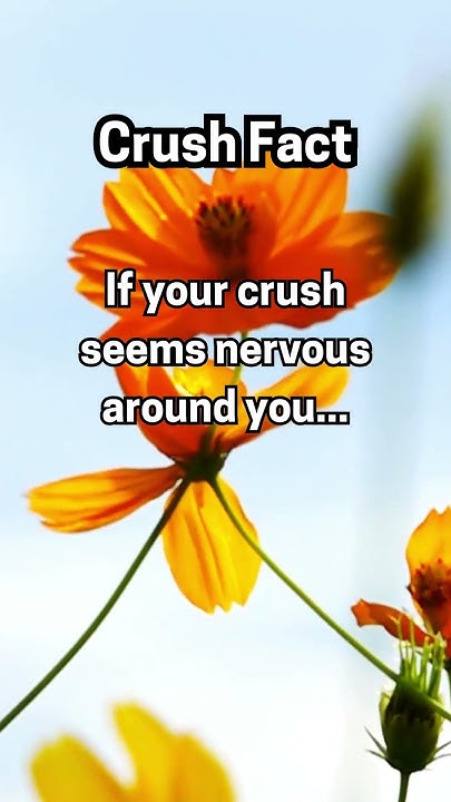 If Your Crush Seems Nervous Around You shorts YouTube daily-gepard-on-twitter-the-captain-seems-nervous-around-the-supreme