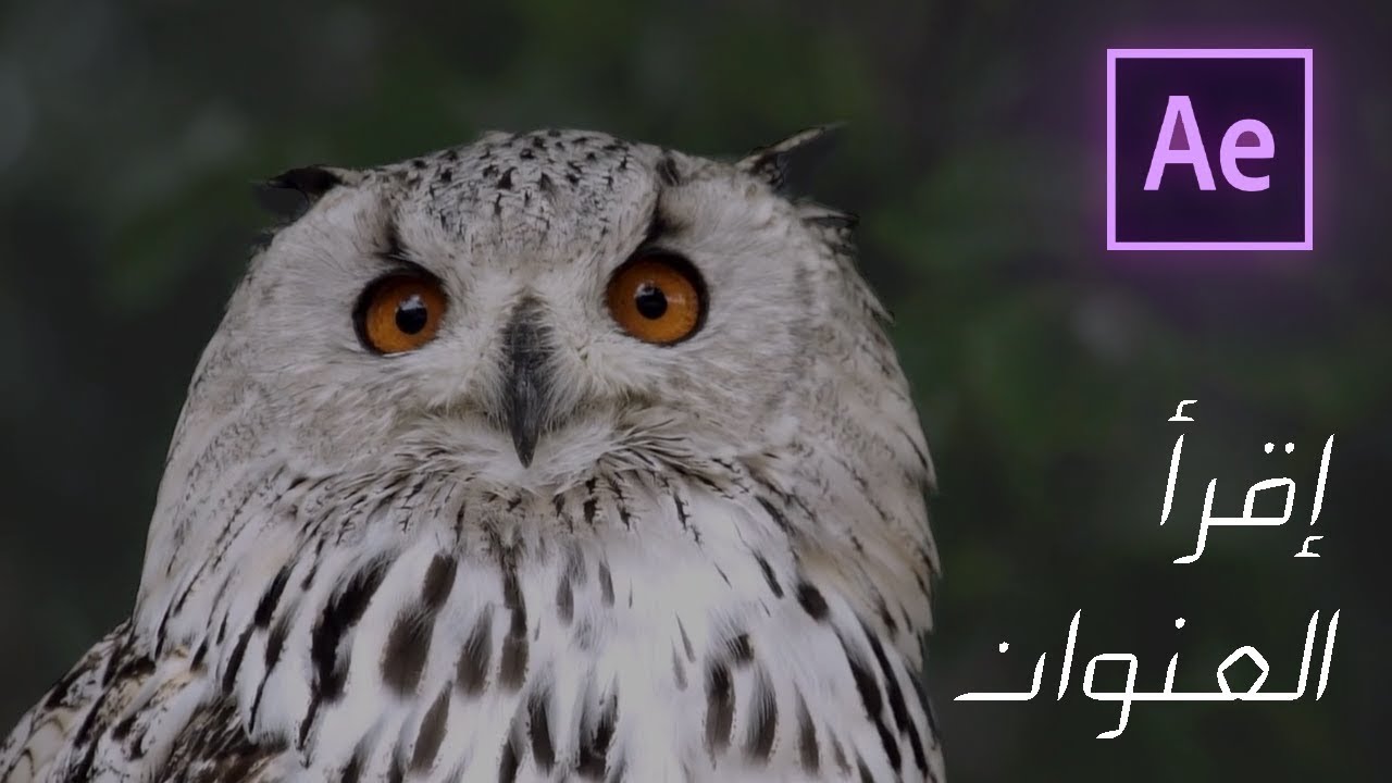كيفية تغيير خلفية الفيديو بدون كروما ! ببرنامج افتر افكتس  | After effects