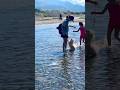 Coto Mines River Masinloc Zambales Nature Travel Fyp River Music Love Dog Shorts Viral Coto Mines River Masinloc Zambales Nature Travel Fyp River Music Love Dog Shorts Viral