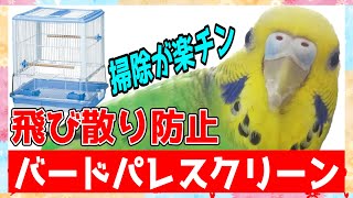 インコ【掃除が劇的に楽になるケージ⁉】バードパレスクリーン~Parakeet [Cage that dramatically eases cleaning⁉]