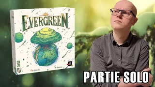 EVERGREEN - Ne passez PAS à côté de ce puzzle-game ! - Partie SOLO & AVIS