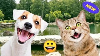 🔴Cats vs. Dogs: The Ultimate Showdown😂 Purrfectly Hilarious Pets😂