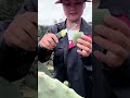 Fresh Cactus Fruit Peeling! 🌵 #PricklyPear #Agriculture #MyAgricultureLife