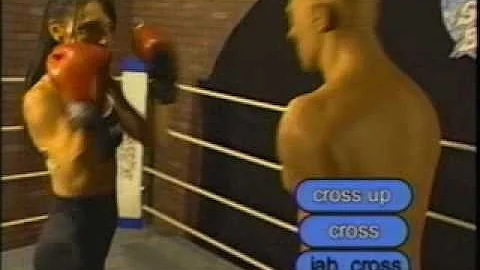 Patricia Steele www.steeleboxer....