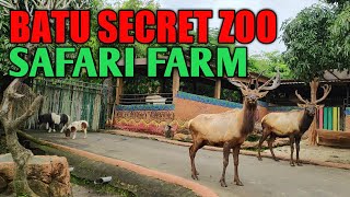 PENGINAPAN DI BATU SECRET ZOO ~ POHON INN AT JATIM PARK 2 // ROAD TRIP JAWA BALI PART 2