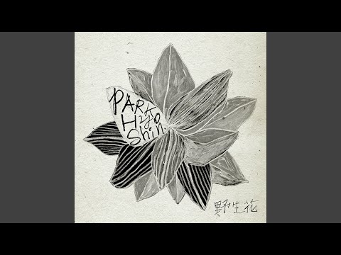 Wild Flower 야생화