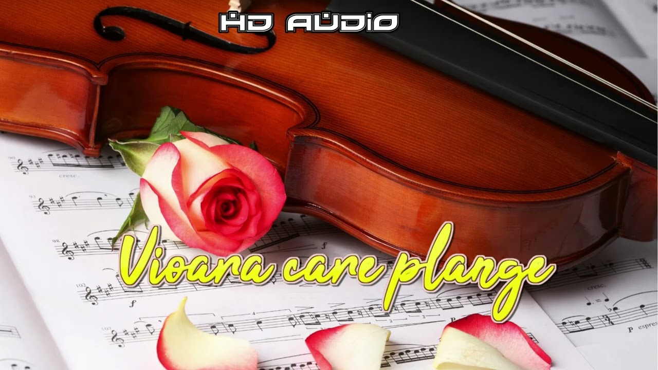 🟡 Vioara care plange | Cele mai frumoase piese nemuritoare