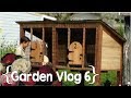 A Hutch, A Dock & Lots of Herbs and Vegetables │ August in the Garden ║ Large Family Vlog