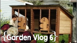 A Hutch, A Dock & Lots of Herbs and Vegetables │ August in the Garden ║ Large Family Vlog