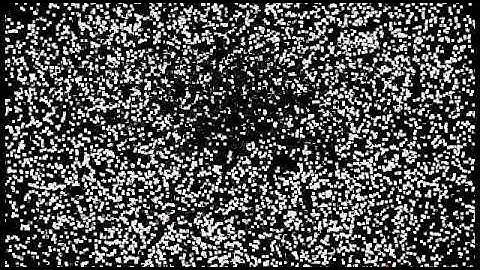 Install proxy server pada linux debian