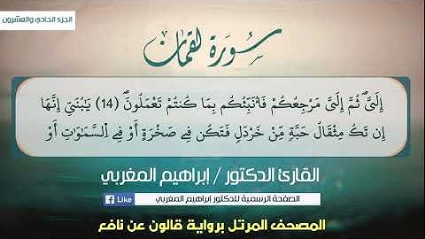 31 - لقمان .. برواية قالون عن نافع .. للقارئ د. إبراهيم المغربي