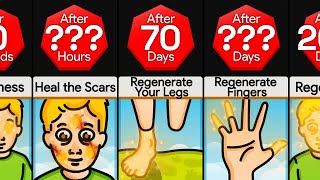 Timeline: What If Humans Could Regenerate Lost Body Parts