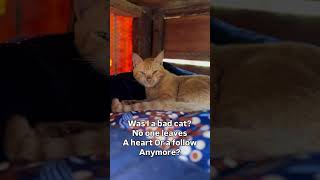 @cindyreagan2884 @harrisj389 @asifkhan506 @YolandaCelis-p1h @harleyfb9469