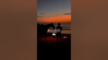 استخدموا الصوت❤️ #تلاوة_خاشعة_تلاوة_هادئة_تلاوة