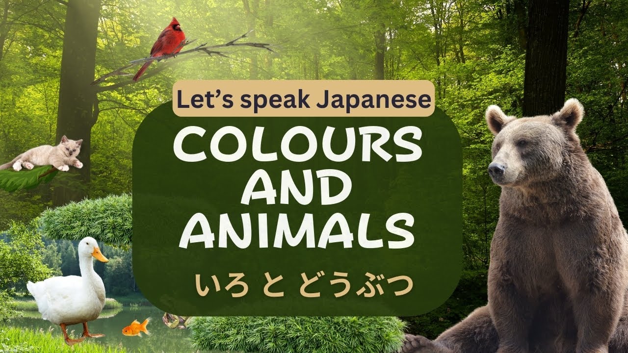 Let's speak Japanese! Colours and Animals - YouTube