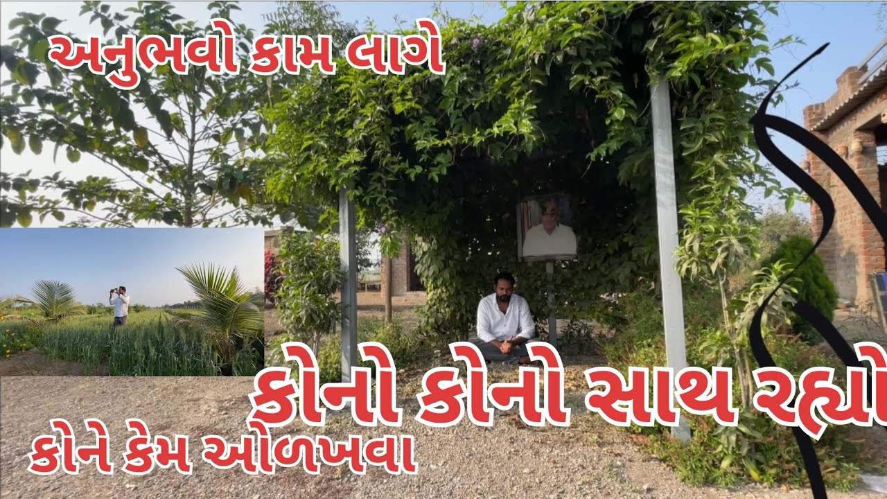 સૌથી મોટો સાથ યુટ્યુબ પરિવાર નો | તમારા અનુભવો પણ જણાવજો | village life | farmer life