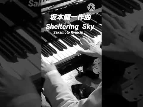 坂本龍一 sheltering sky #piano #shortfeed #shorts