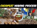 Industrial production of cocopeat  coco peat manufacturing process