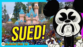 Celebrity Disney SUED Over DAS Disability Passes! Net Worth