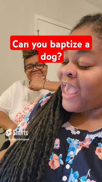 can-you-baptize-a-dog-shorts-youtube