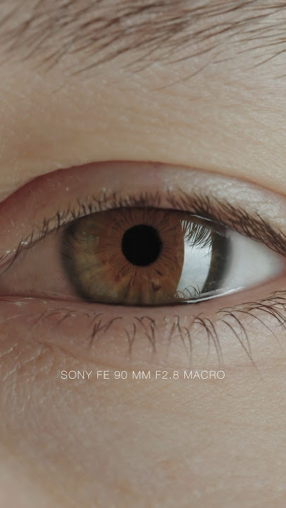Sony 90mm F2.8 macro #sonyalpha