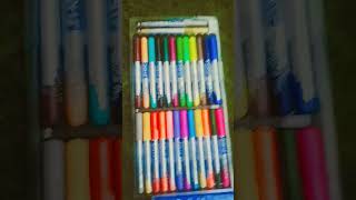 brush pens 🤩 #cute #nitua #sanskrit #fun #sanskrit #syllabus #s
