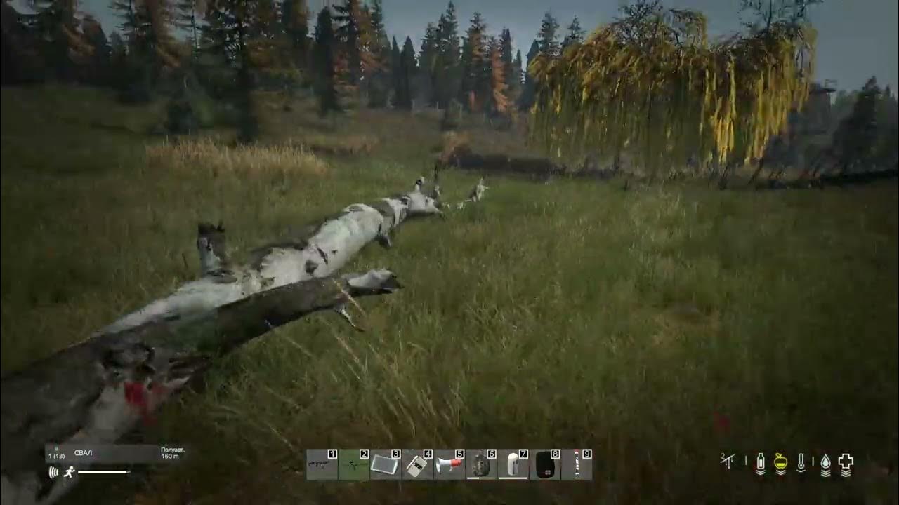 Тикет 10 - YouTube