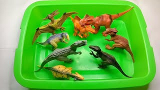 Animal Toys : Dinosaurs, Jurassic World Dominion, Tyrannosaurs, Velociraptor | Asmr Unboxing