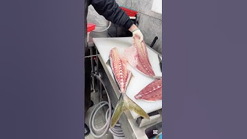 #대방어 손질 phi lê cá hổ phách                #shorts #shortvideo #sashimi