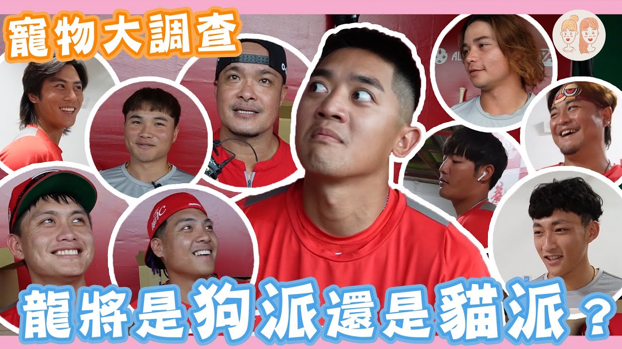 寵物大調查 龍將們是貓派還是狗派？【