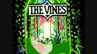 The Vines - Autumn Shade chords