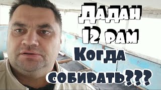 Пчеловодство 12 рамочный Дадан. Как сохранить рамки суши до следующего сезона.