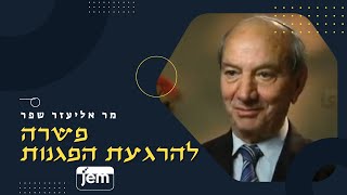 כשהרבי מליובאוויטש הציע פתרון יצירתי בזמן הפגנות ופילוג מגזרי בישראל