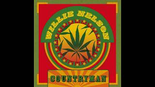 Willie Nelson - I'm A Worried Man