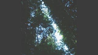 Tried Living