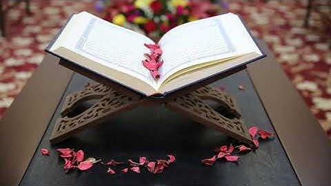 041 سورة فصًلت | مشاري العفاسي | بدون إعلانات